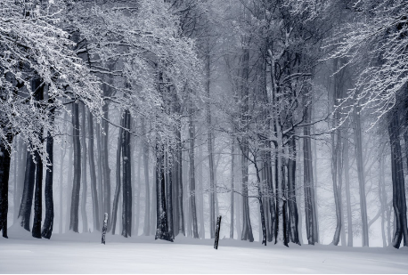 求职个人介绍短句(求职个人介绍短句吸引人)